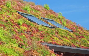 Stockholes Turbary living roof systems